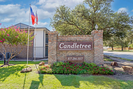 Candletree 01a
